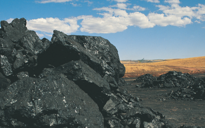 New government coal consultation misses the mark, failing to engage with Albertans on the issues they care most about