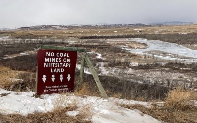 Tent Mountain coal mine: Niitsitapi Water Protectors, landowners group, environmental orgs urge Canada to designate project for assessment