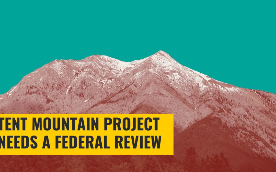 Tent Mountain project will undergo a federal environmental review