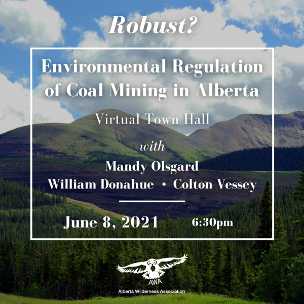 June 8: Virtual Town Hall on Environmental Regulation of Coal Mining in Alberta