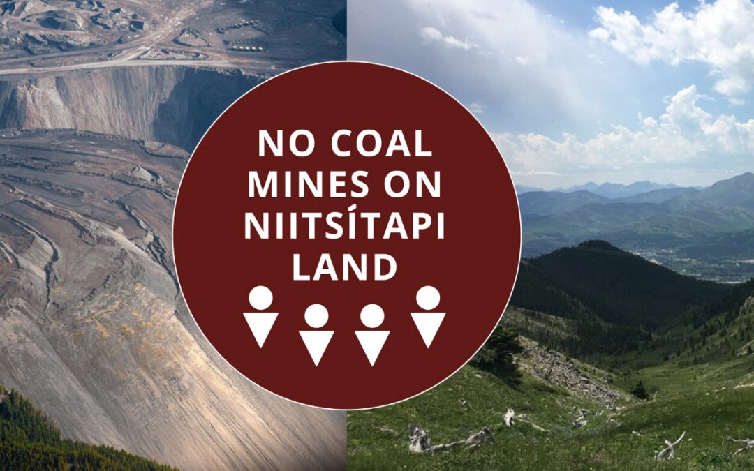 Call for a federal regional assessment of all metallurgical coal mining activity