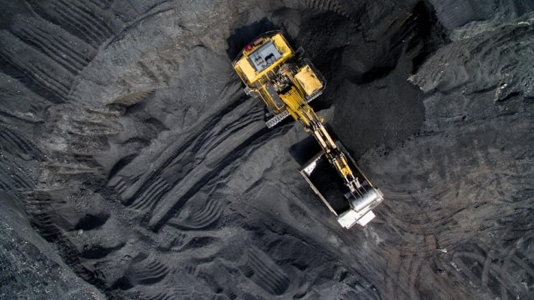 Ottawa to conduct environmental reviews of new coal projects that could release selenium