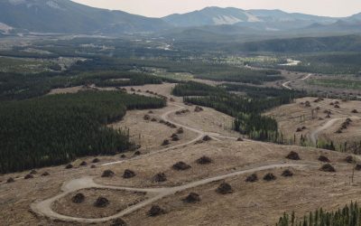 A bird’s eye view of coal leases on the eastern slopes of Alberta’s Rockies