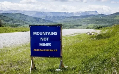 Alberta Energy Regulator to hold Rocky Mountain coal hearings despite legal challenge