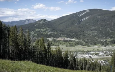Alberta government lifts coal mining moratorium, critics say it’s ’open season’
