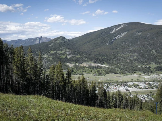 Alberta government lifts coal mining moratorium, critics say it’s ’open season’