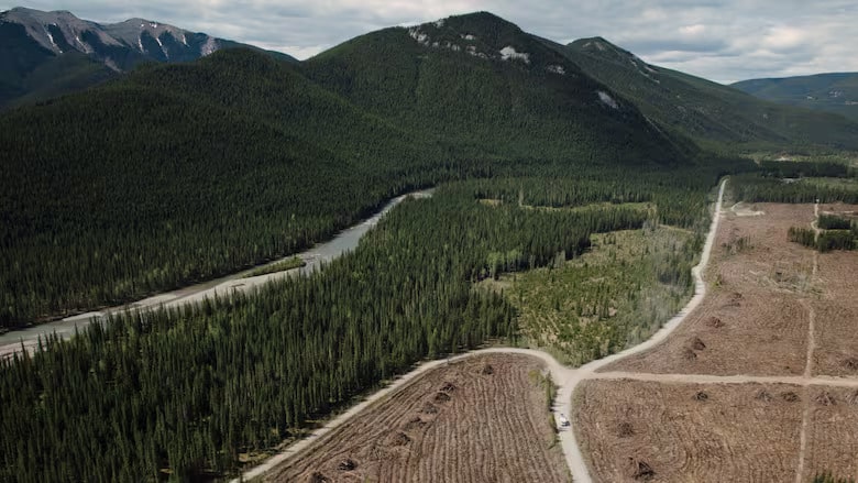 First Nation seeks court ruling on Alberta ending coal mining moratorium
