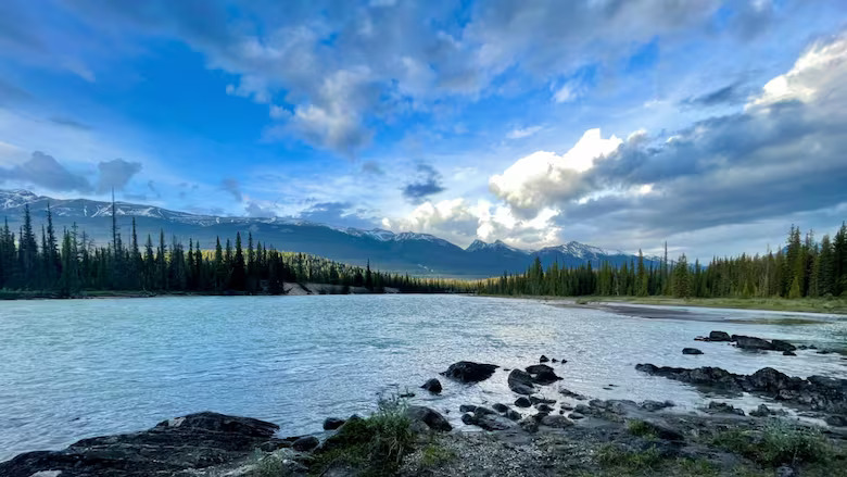 Alberta’s old coal mines contaminating rivers and endangering fish, study finds